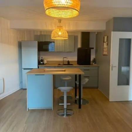 Maison Hyper Centre Maxi 28pers Tour D'auvergne Lejlighed